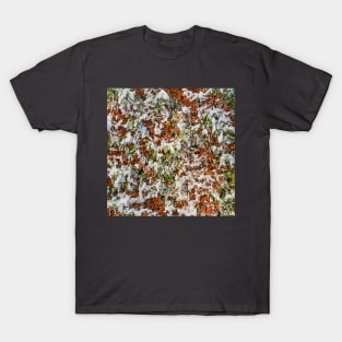 Background of foliage with snow T-Shirt